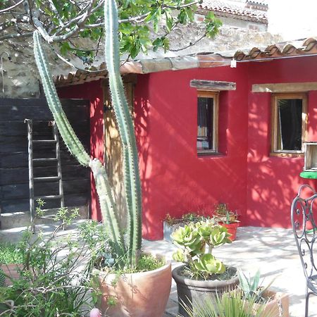 Maison Dans Jardin Villeseque-des-Corbieres Exterior foto